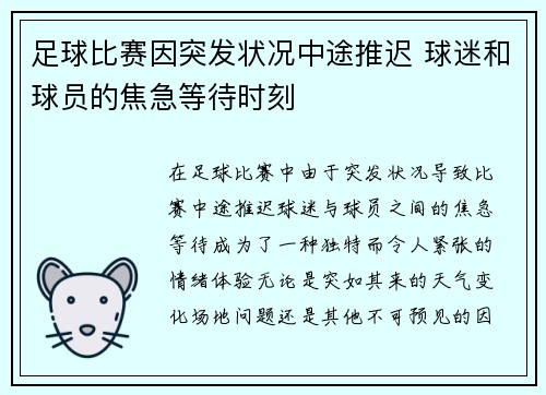 足球比赛因突发状况中途推迟 球迷和球员的焦急等待时刻