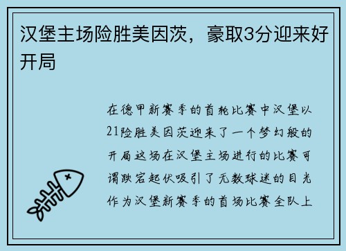 汉堡主场险胜美因茨，豪取3分迎来好开局