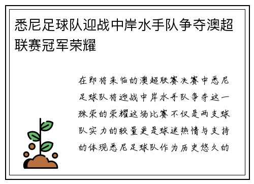 悉尼足球队迎战中岸水手队争夺澳超联赛冠军荣耀