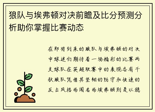 狼队与埃弗顿对决前瞻及比分预测分析助你掌握比赛动态