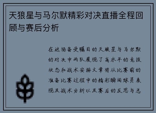 天狼星与马尔默精彩对决直播全程回顾与赛后分析