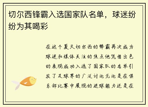 切尔西锋霸入选国家队名单，球迷纷纷为其喝彩