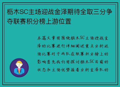 枥木SC主场迎战金泽期待全取三分争夺联赛积分榜上游位置